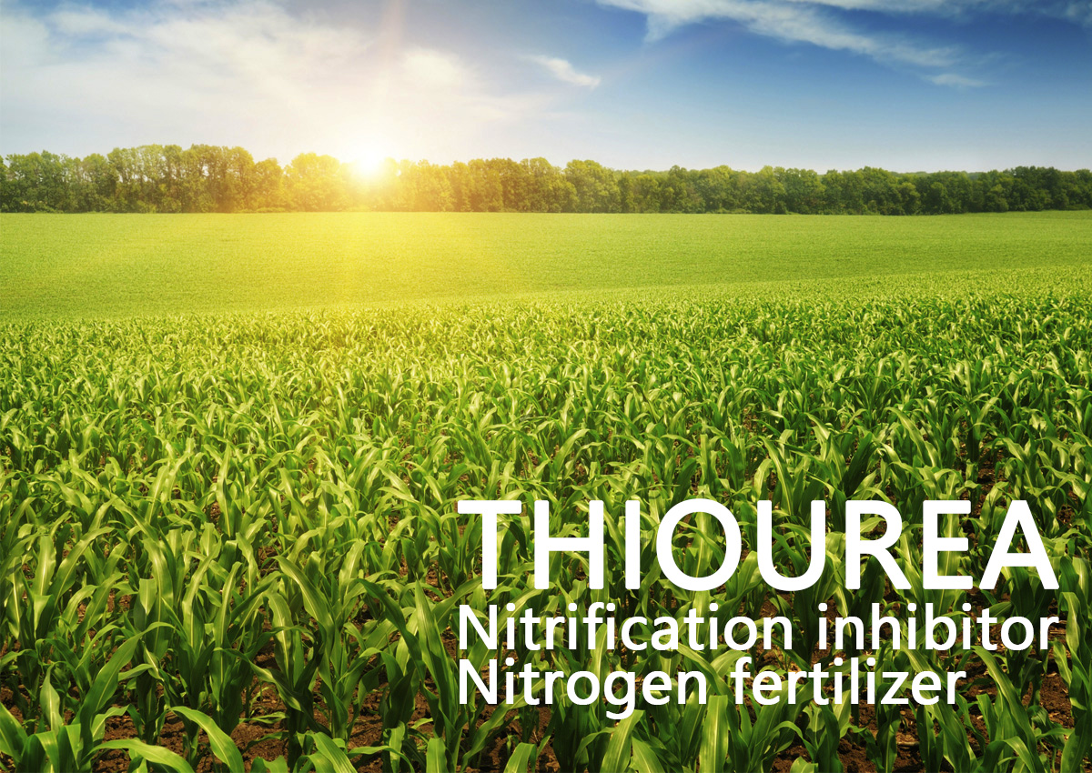 Thiourea is which kind of fertilizer