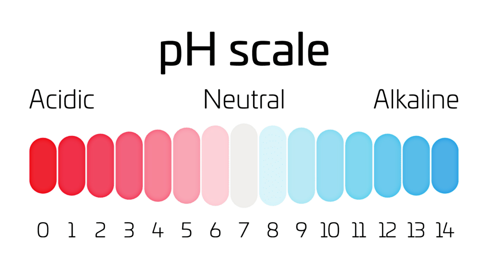 Thiourea is considered neutral. 