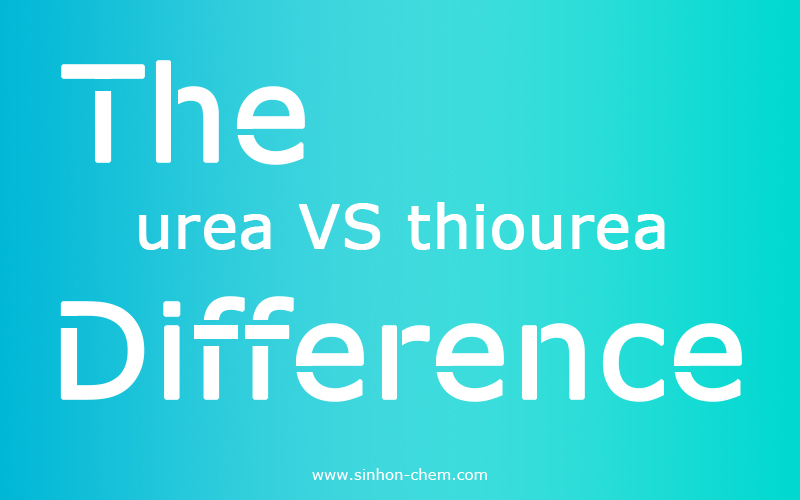 What is the difference between urea and thiourea?