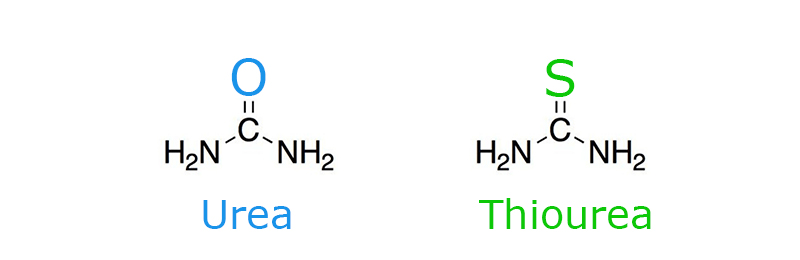 the difference between urea and thiourea