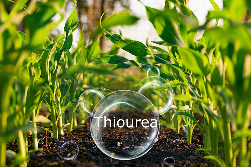 What is the use of thiourea in agriculture?