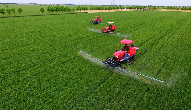 Sinhon thiourea | Applications of thiourea in agriculture