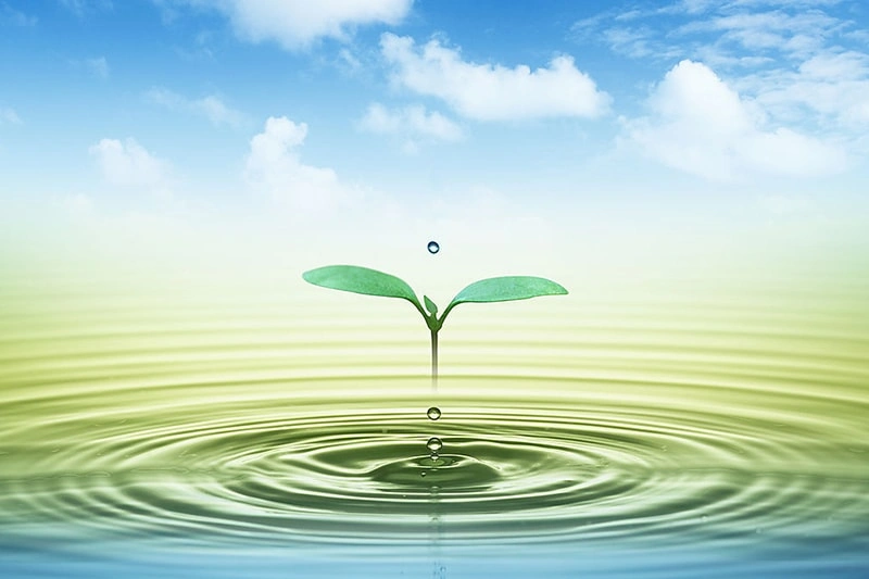 Environmental Protection